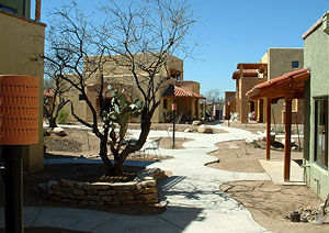 Stone Curves Cohousing phase 2 residences.