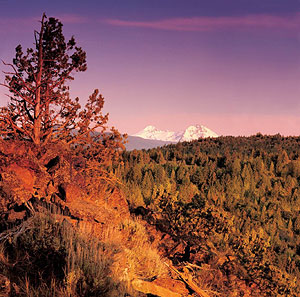 Central Oregon landscape: mountains, evergreens.