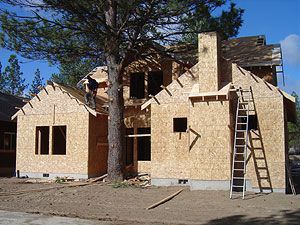 Tree preservation as shown during home construction.