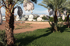 Date orchards next to a cluster of cottage homes.