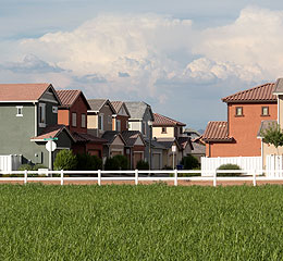 Cottage homes adjacent to pastures.