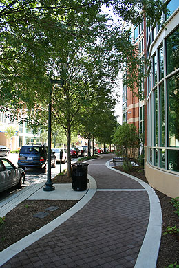 Walkway adjacent to library