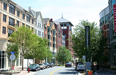 Maryland Avenue street scene