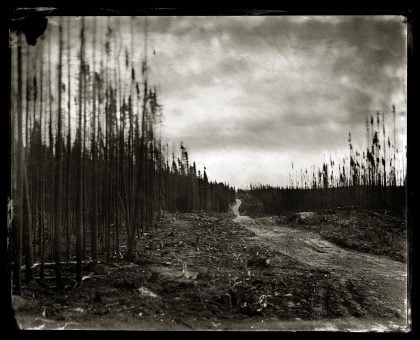 We step from the ash...