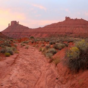 Professor Valley, Utah