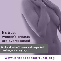 The Breast Cancer Fund