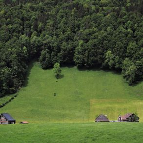 Two cabins in a meadow