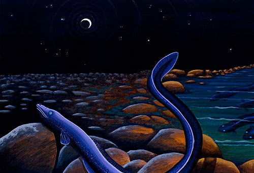eels3 What future for the eels?