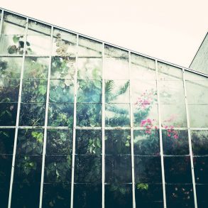 A greenhouse on a rainy day