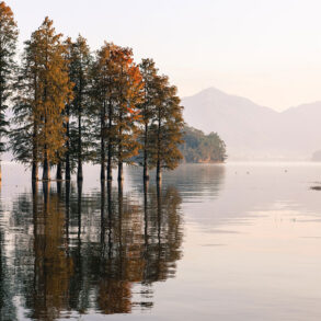 Lake and trees in Finland