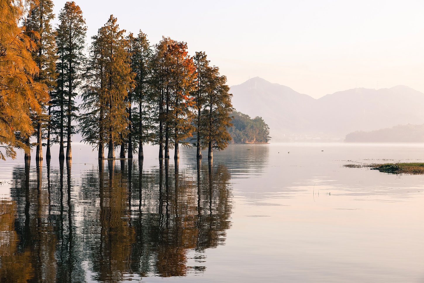 Lake and trees in Finland