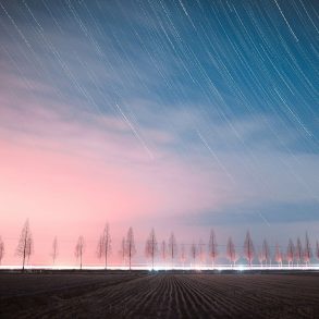 Winter stars and line of trees at twilight