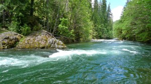blueriver5 Oregon's Blue River
