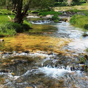 Shenandoah river flows