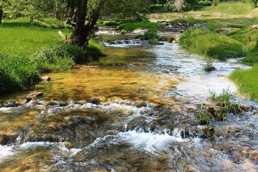 Shenandoah river flows