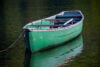 Canoe