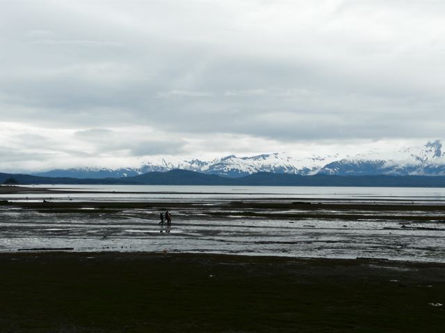 P1100559