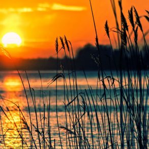 A lake at sunset