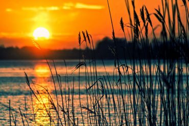 A lake at sunset