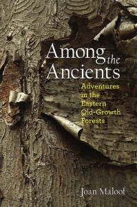 Among the Ancients cover