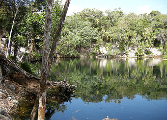 dodd_Xel-Ha Xel Ha'