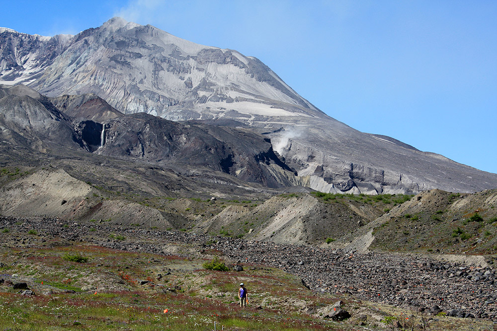 Scientist on the Pumice Plain at Mount St. Helens