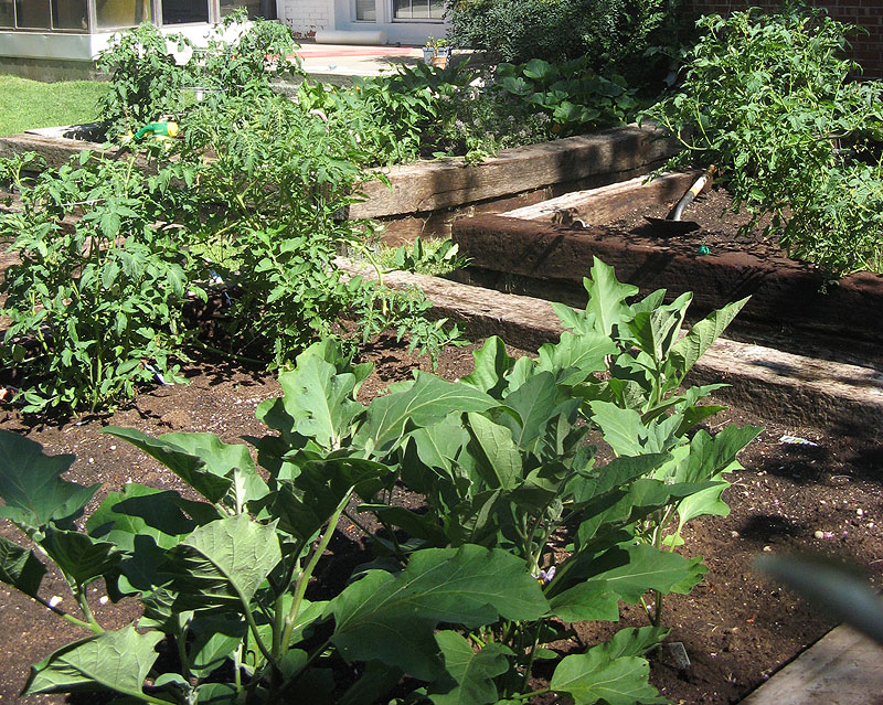 Garden