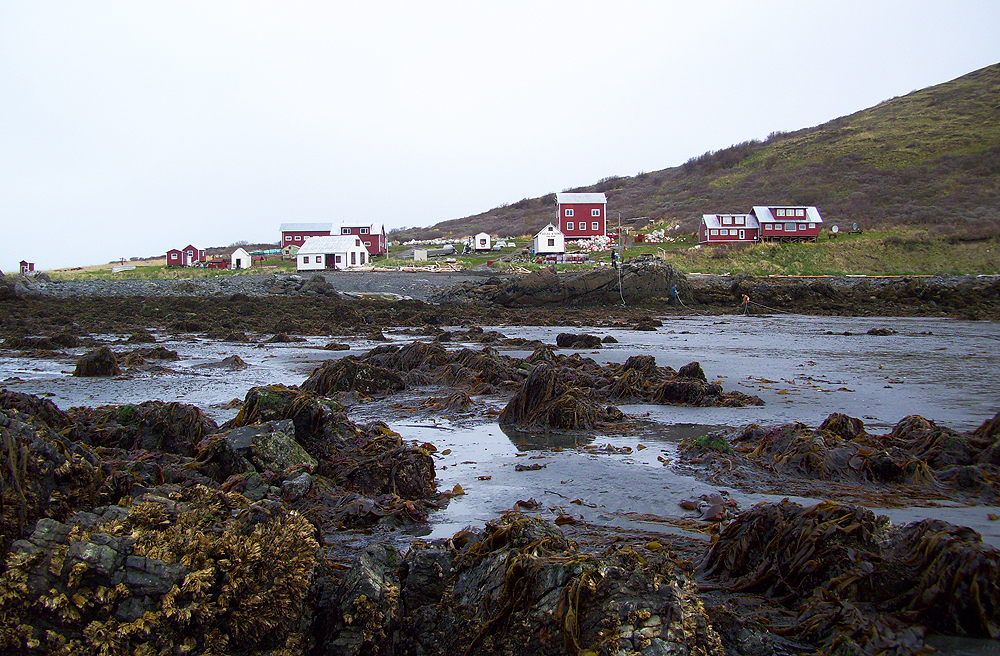 Bear Island at low tide