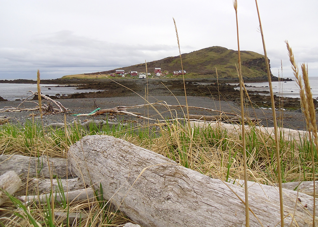 Bear Island from the lagoon, looking across the spit at low tide