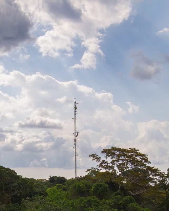 Research tower above the canopy.