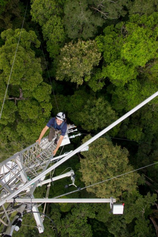 Ty climbs the 65 m tower.