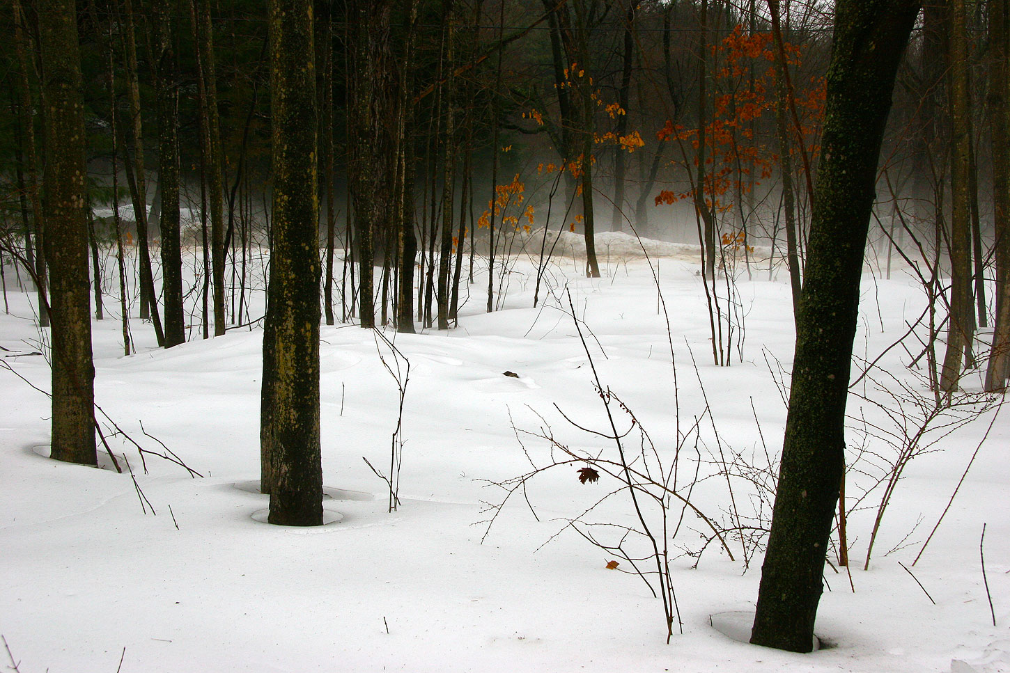 Walking Thoughts on a Frozen Pond by Lauret Savoy • A