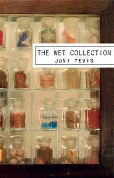 The Wet Collection, by Joni Tevis