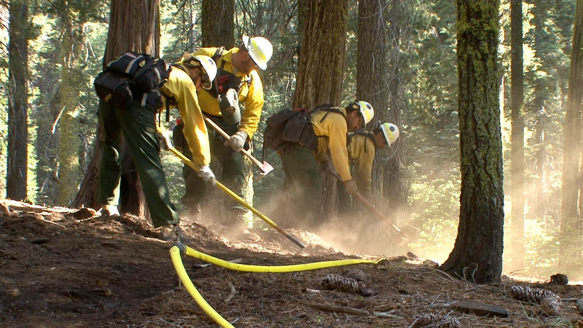 Fire crew members dig handline