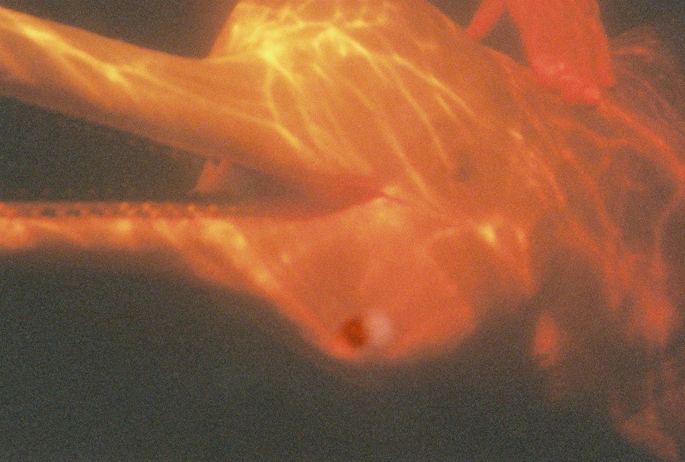 River dolphin