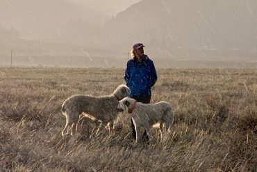 Mike with dogs in Colorado high country in the rain