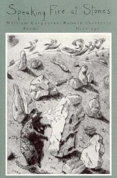 Speaking Fire at Stones, book cover