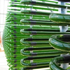 Photobioreactor