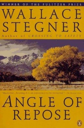 Angle of Repose, book cover