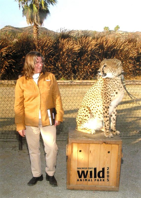 Alison Deming and the cheetah