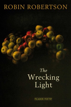 wrecking light book cover