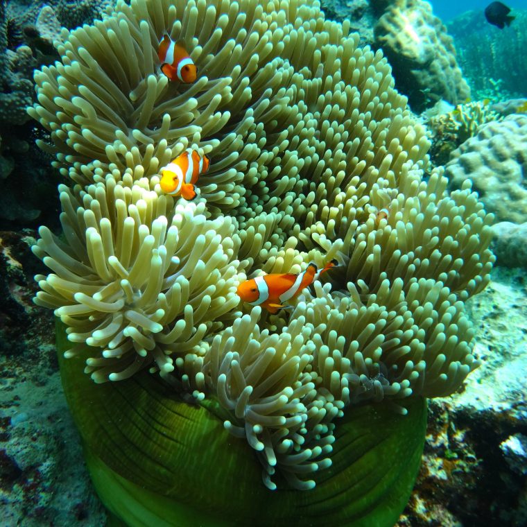 Worth fighting for.