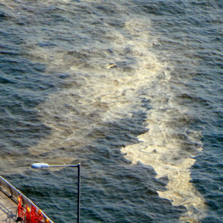 Red tide is not always red here or elsewhere.