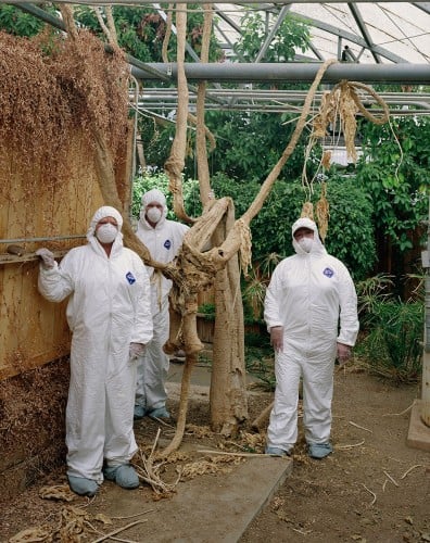 Tyvek Suits