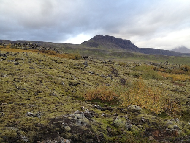 Mordor land, with moss. Grabrokargigar, Westfjords
