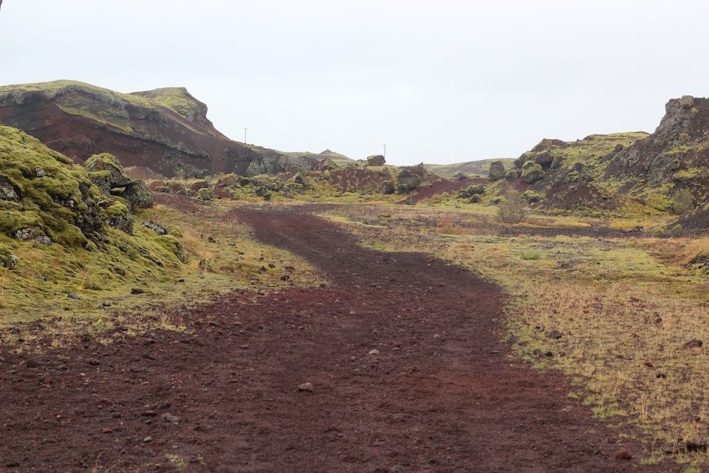 red earth, green moss