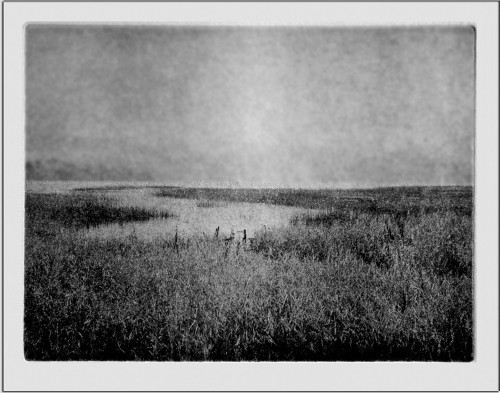 Ozenuma. Ozenuma, Japan, 1994.
