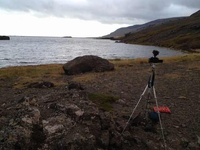 Westfjords