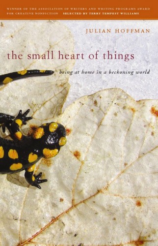 2-thesmallheartofthingsjpegcover1