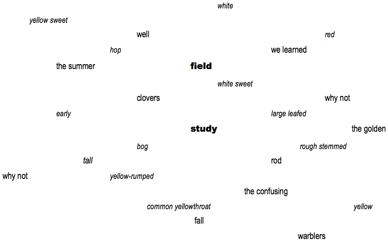 Poem 3 by Jody Gladding